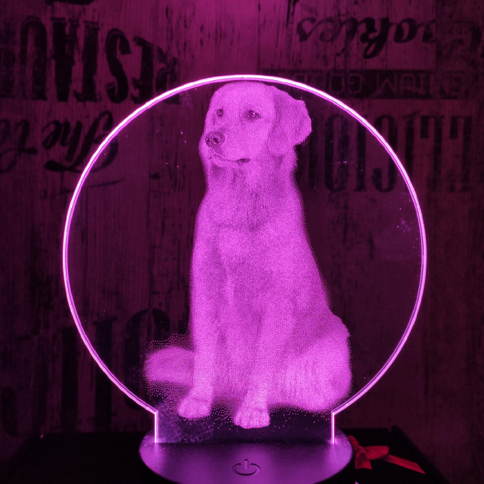 Labrador kutya 7 színű valósághű 3D led lámpa