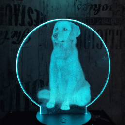 Labrador kutya 7 színű valósághű 3D led lámpa
