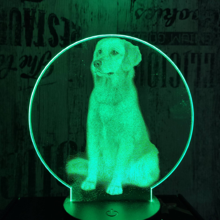 Labrador kutya 7 színű valósághű 3D led lámpa