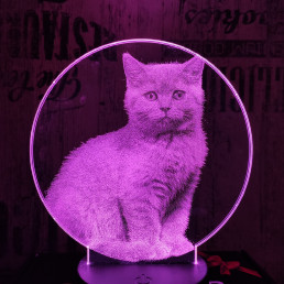Brit cica 7 színű valósághű 3D led lámpa