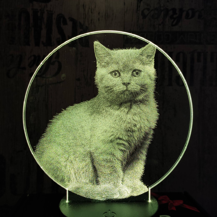 Brit cica 7 színű valósághű 3D led lámpa