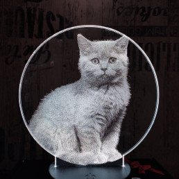 Brit cica 7 színű valósághű 3D led lámpa