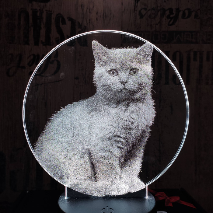 Brit cica 7 színű valósághű 3D led lámpa