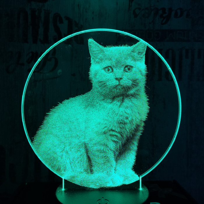 Brit cica 7 színű valósághű 3D led lámpa