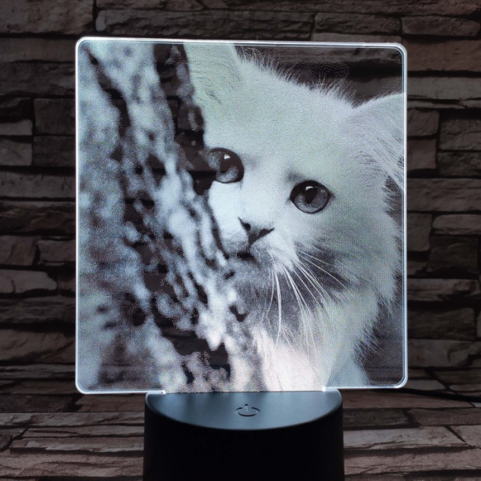 Cica bújócska 7 színű valósághű 3D led lámpa