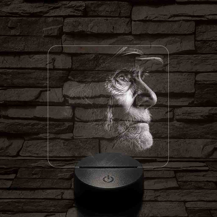 Öreg 7 színű valósághű 3D led lámpa