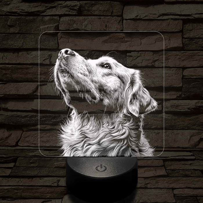 Golden Retriever portré 7 színű valósághű 3D led lámpa