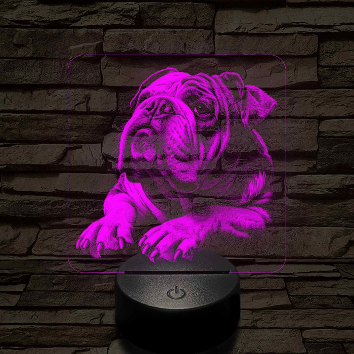 Angol Buldog portré 7 színű valósághű 3D led lámpa