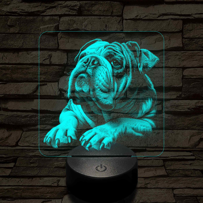 Angol Buldog portré 7 színű valósághű 3D led lámpa