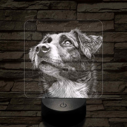 Ausztrál Juhászkutya portré 7 színű valósághű 3D led lámpa