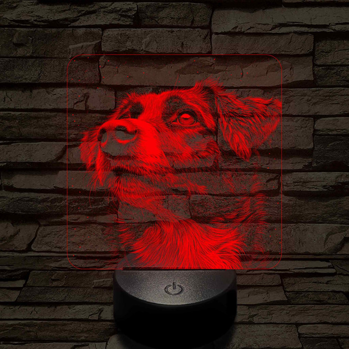 Ausztrál Juhászkutya portré 7 színű valósághű 3D led lámpa