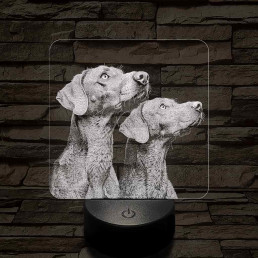 Rövidszőrű magyar vizsla pár 7 színű valósághű 3D led lámpa