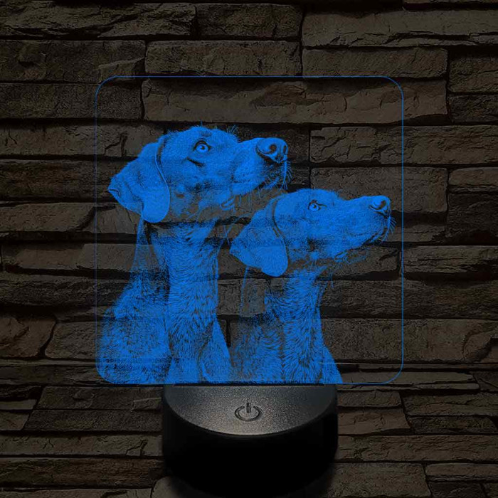 Rövidszőrű magyar vizsla pár 7 színű valósághű 3D led lámpa