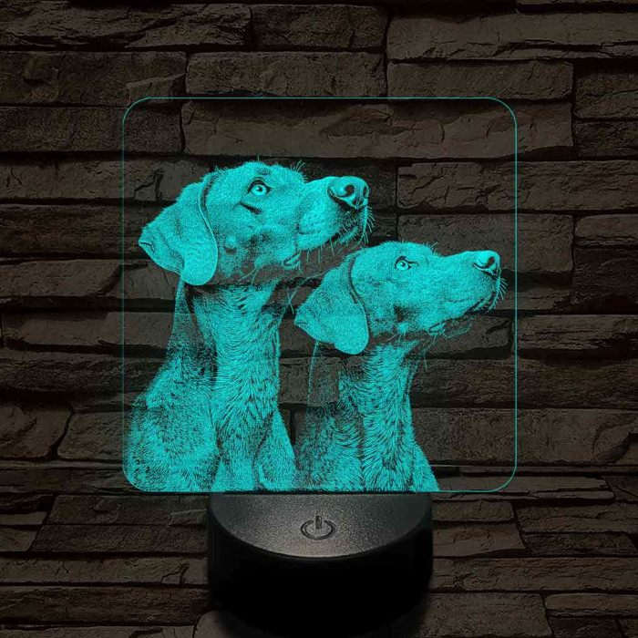 Rövidszőrű magyar vizsla pár 7 színű valósághű 3D led lámpa