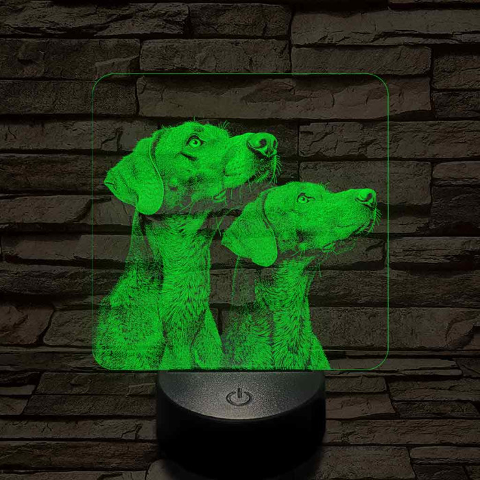 Rövidszőrű magyar vizsla pár 7 színű valósághű 3D led lámpa